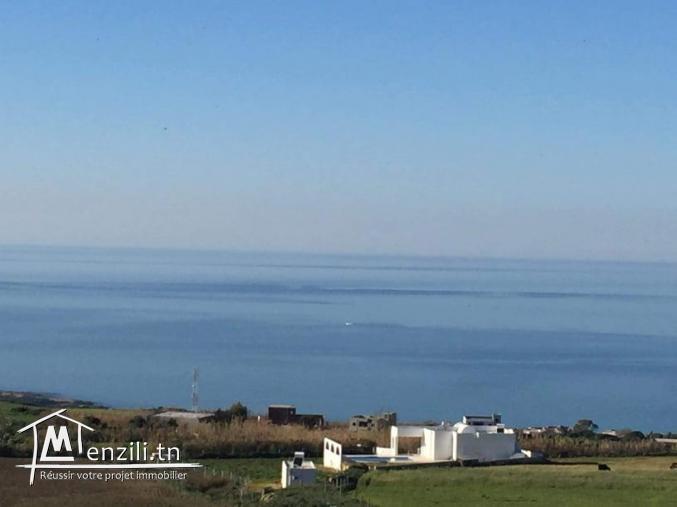 Terrain à Bizerte de 6291 m2
