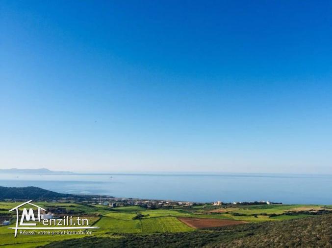 Terrain à Bizerte de 6291 m2