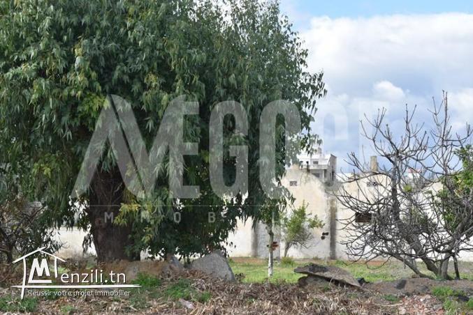 un superbe terrain sur deux façades