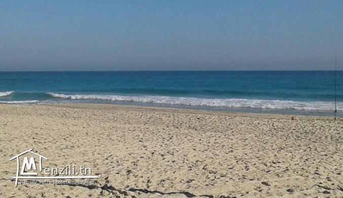 Maamoura plage vend terrain de 2500 m2 pieds dans l'eau