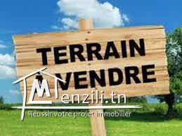 A vendre lots de terrains de 1000 m2