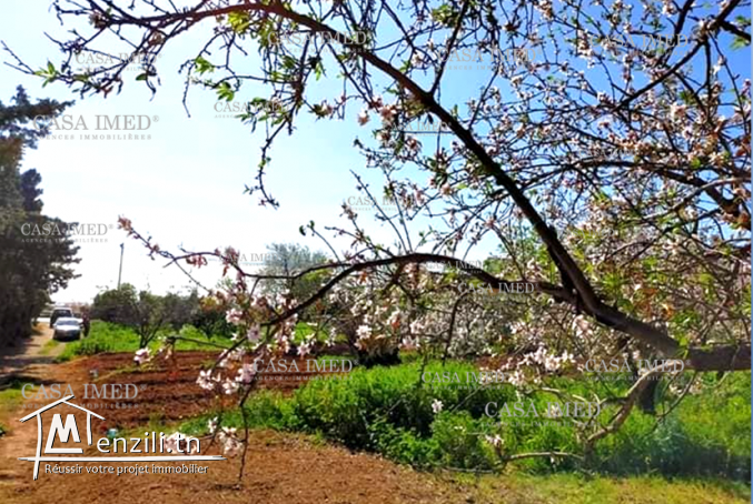 أرض للبيع في غارالملح