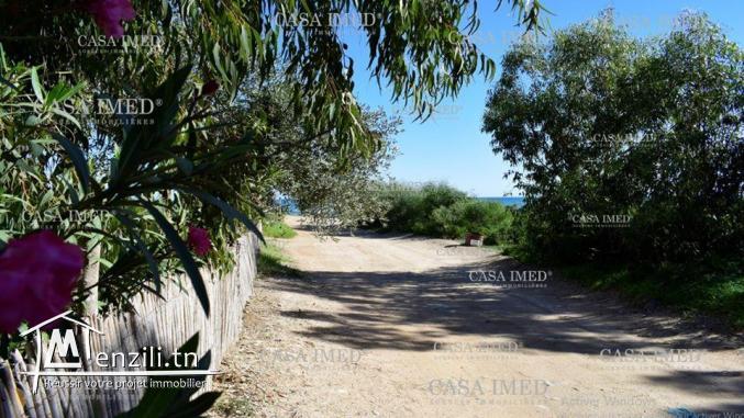 terrain de 150m² à kerkouane