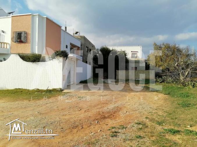 un superbe terrain de forme carré