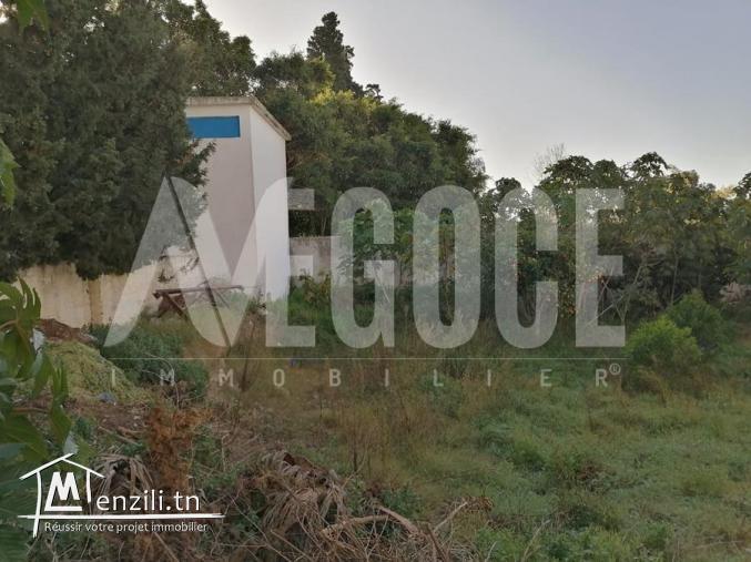 un terrain sur deux façades près d’hôtel les orangers Hammamet