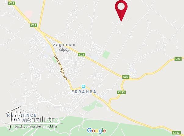 قطعة ارض فلاحية للبيع بزغوان