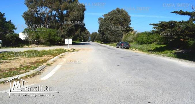 أراضي قريبة من بحر كركوان بأسوام مرفقة