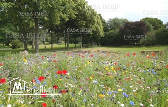 أرض في تمزرات