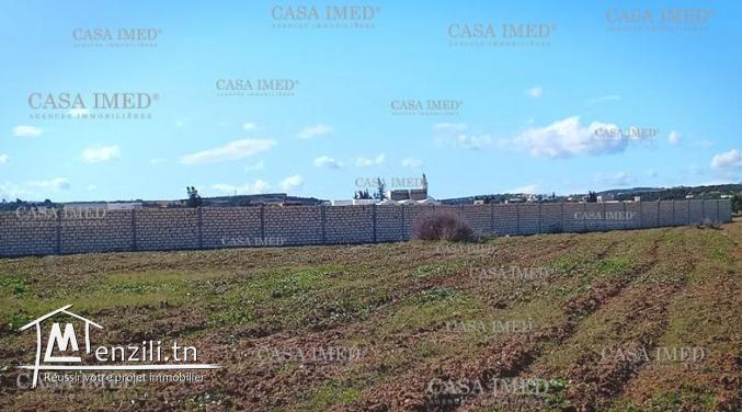 قطعة أرض للبيع تبعد 6 كلم  على ياسمين الحمامات