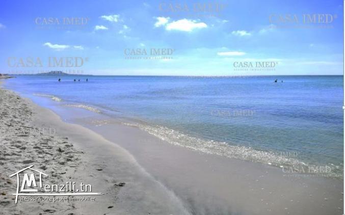 أرض على #البحر : شط دار علوش