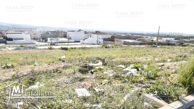 des lots viabilisées