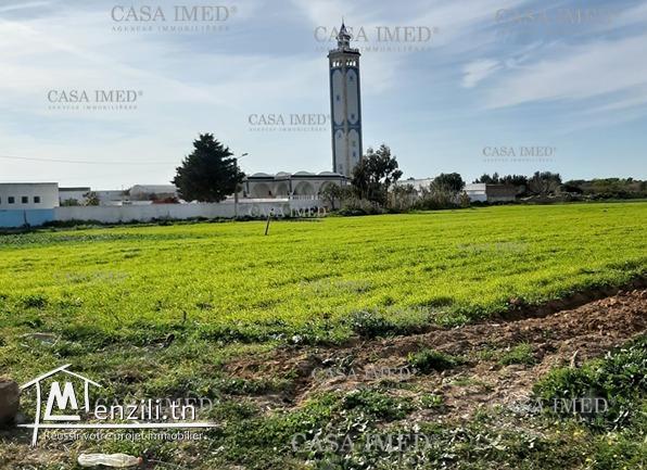 terrain a vendre vue  sur mer a kerkwene