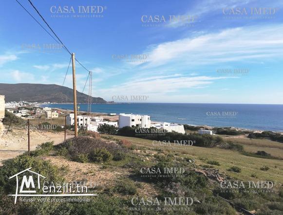 أرض في الهوايه الثمن مغري 