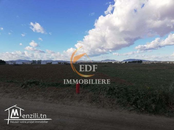Réf 3097:  5 lots de Terrain pour maison de Campagne,Hammamet Sud