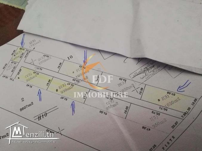 Réf 3097:  5 lots de Terrain pour maison de Campagne,Hammamet Sud