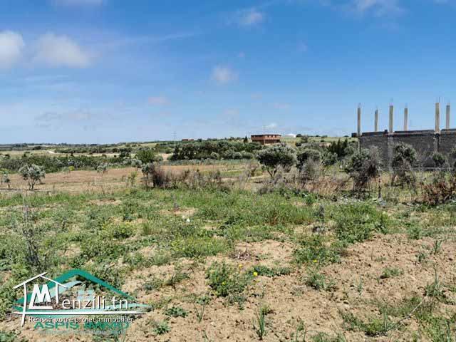 terrain 1000 m² à tahert kelibia