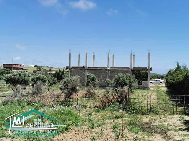 terrain 1000 m² à tahert kelibia