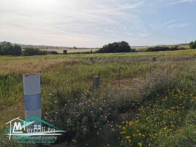 TERRAIN 900 m² à tamezrat kelibia