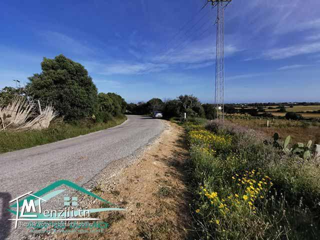 TERRAIN 900 m² à tamezrat kelibia