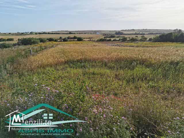 TERRAIN 900 m² à tamezrat kelibia