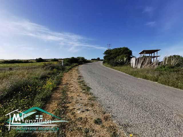 TERRAIN 900 m² à tamezrat kelibia