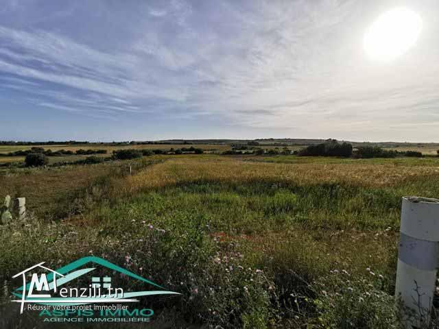 TERRAIN 900 m² à tamezrat kelibia