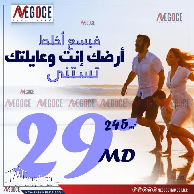 أرض في الحمامات ذات صبغة سكنية