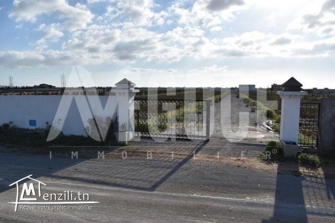 أرض في الحمامات تبعد 4 كلم² على الياسمين الحمامات