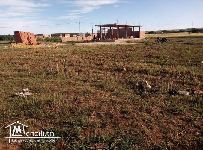 Terrain vue sur mer et Zembra a El Haouaria de 2min a pieds