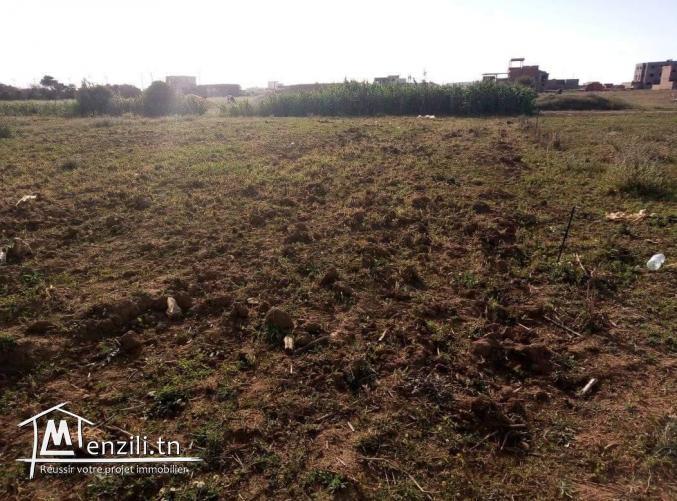Terrain vue sur mer et Zembra a El Haouaria de 2min a pieds