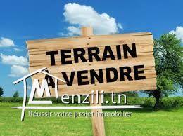 Jardins de Carthage à vendre promotion immobilier