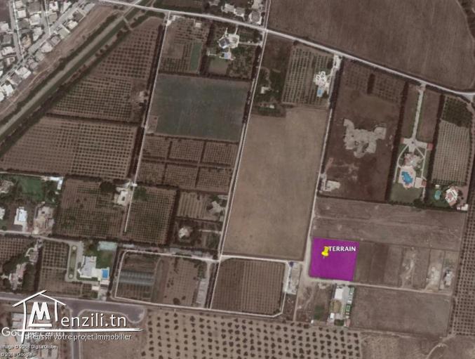 Terrain clôturé Mornag