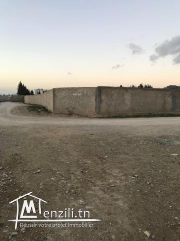 Terrain clôturé Mornag