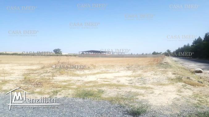 un terrain a Mornaguia