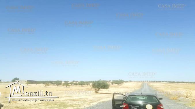 un terrain a Mornaguia