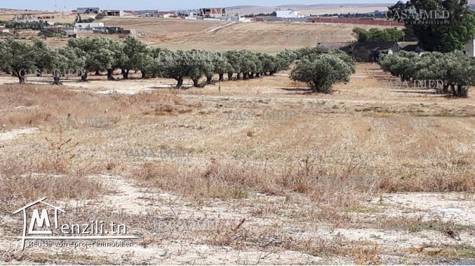 un terrain a Mornaguia