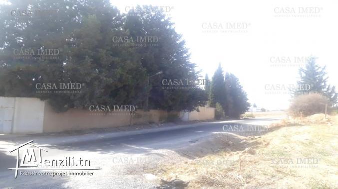 un terrain a Mornaguia