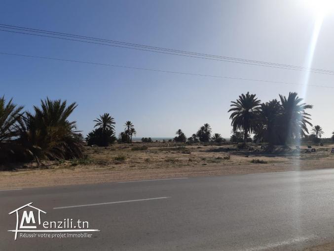 Terrain  vue sur mer Zone touristique Lella Hadhria