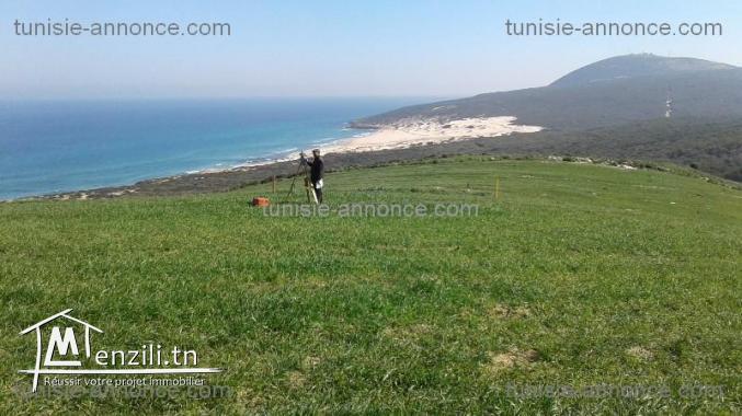 Tres beau terrain