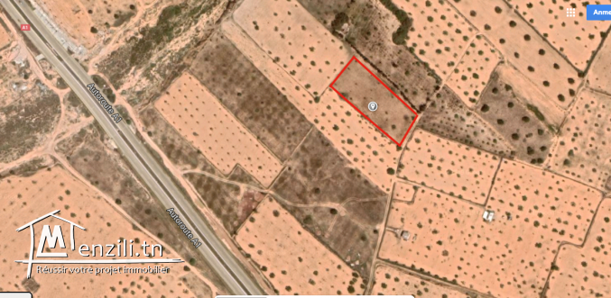 terrain a route de tunis sfax