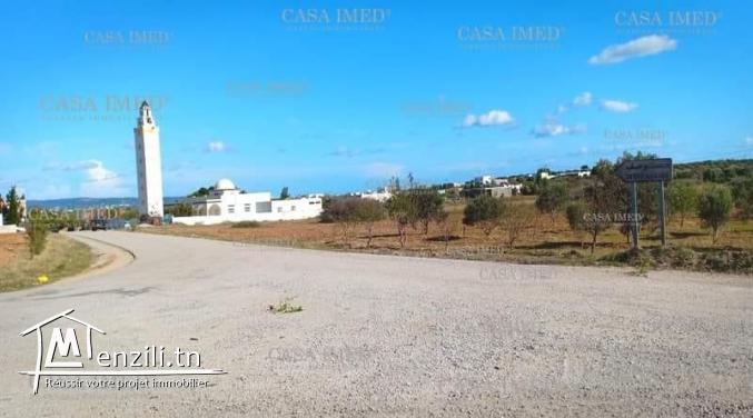 un terrain a à kelibia -Ain grenz