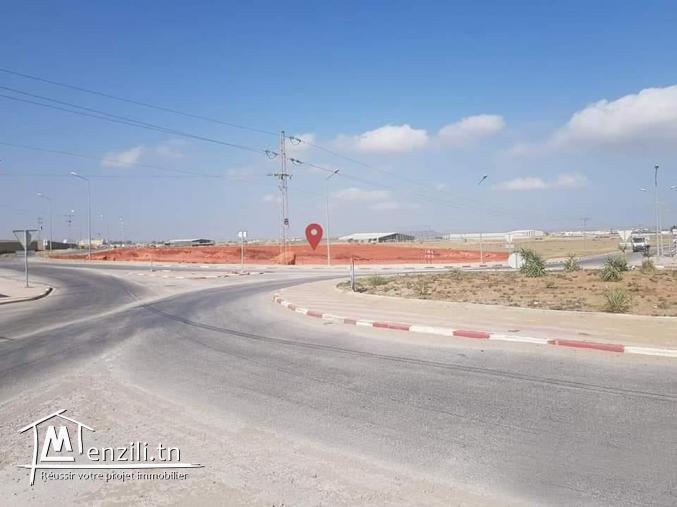 Terrain jbel el oust 2 hectares