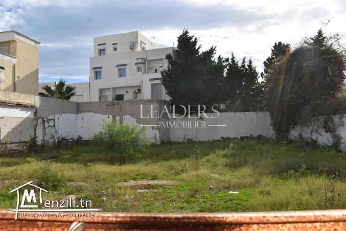 un superbe terrain a vendre à Hammamet 