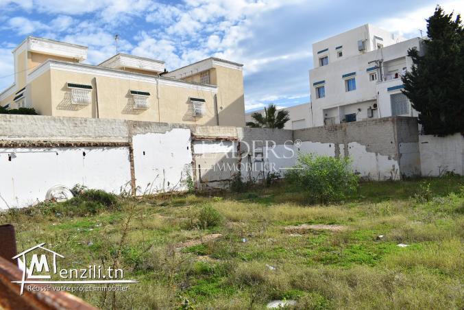 un superbe terrain a vendre à Hammamet 