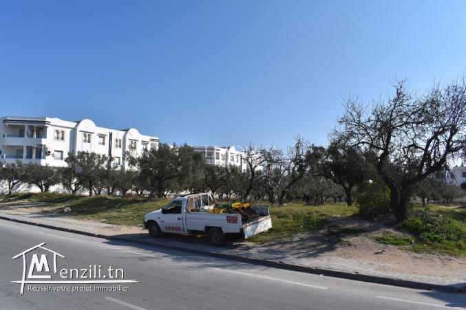 un superbe terrain a vendre