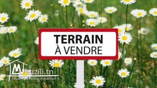Terrain (3000 m²) vue sur mer titre bleu à vendre sur la zone touristique Djerba Midoun