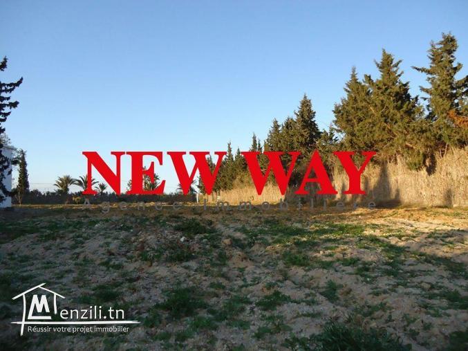 Terrain à chatt mariem vue de mer, sur la rue principale