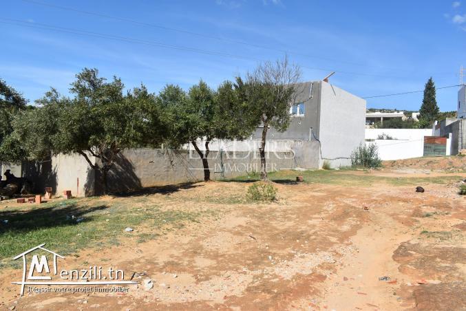 AV un terrain situé à kharouba Hammamet Nord, en face carrefour market