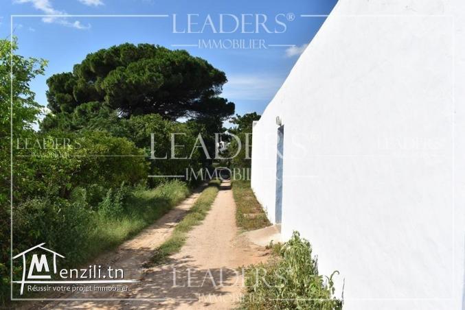 AV un terrain Birbouregba Hammamet