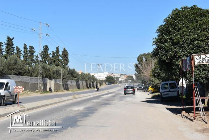 AV un superbe terrain de 188 m² situé à Hammamet route Birbouregba.